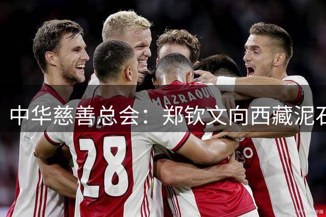 中华慈善总会：郑钦文向西藏泥石流灾区捐款100万元